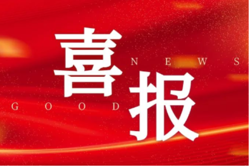 喜報！智能配電網(wǎng)事業(yè)部榮獲2025年黑龍江省工人先鋒號（巾幗標兵崗）榮譽稱號